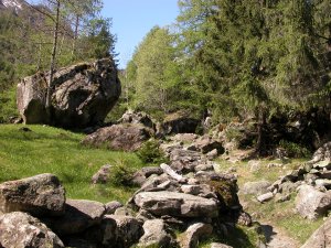 Santanel (Punta) da Outre l'Eve, anello per i Valloni della Legna e di  Vercoche - Escursionismo